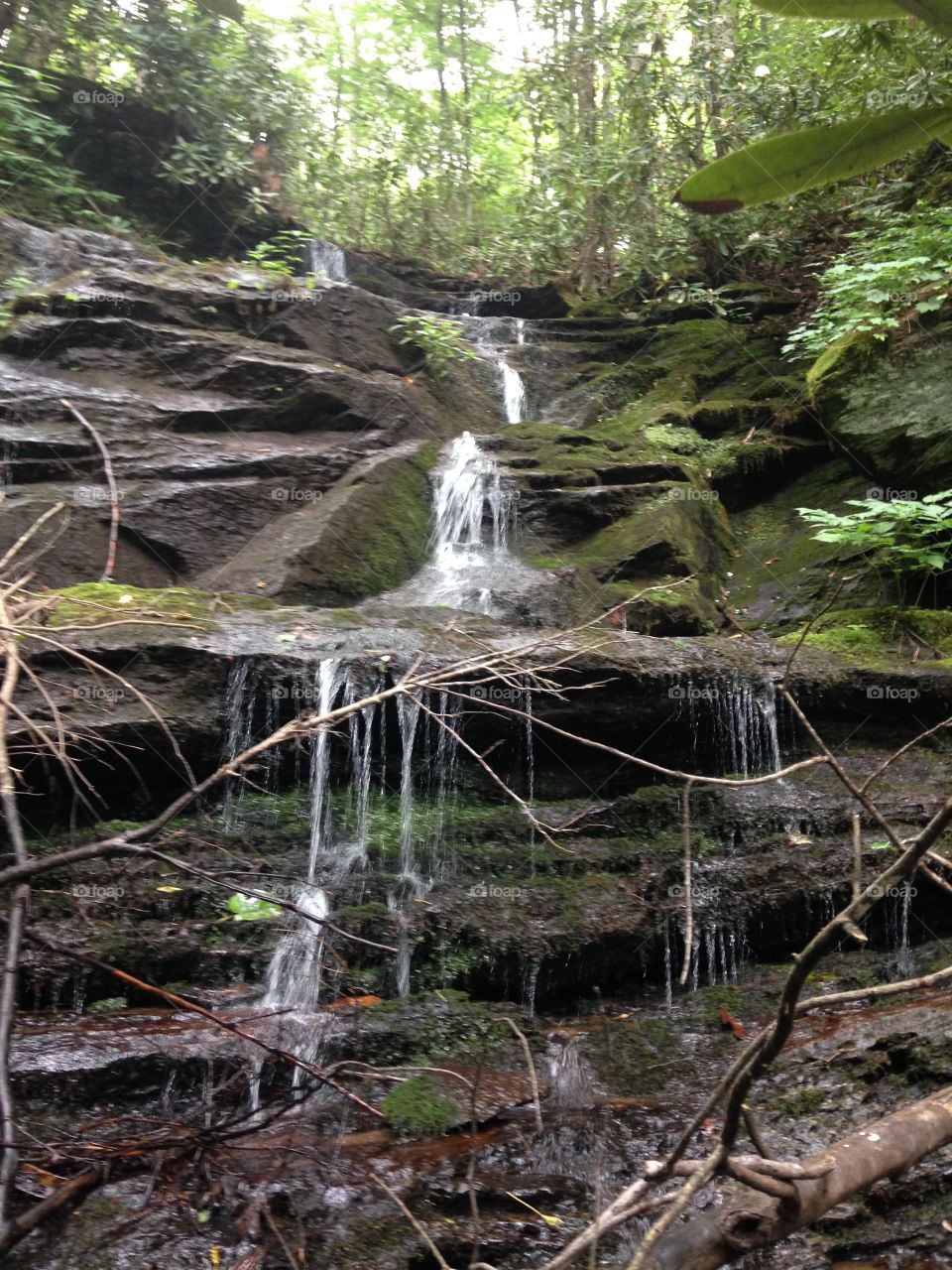 Waterfall in the Woods. Found this while hiking. 