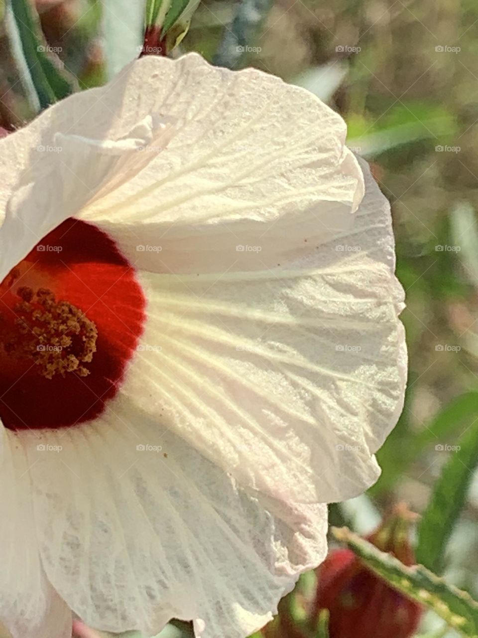 📷 Colors Explosion 