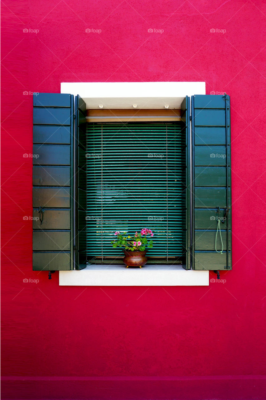 Close-up of flower pot on window sill