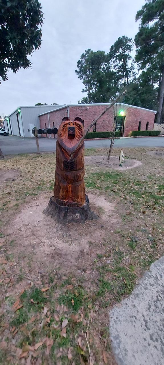 A Chiseled Bear,not Build a Bear 🐻! 😀!!