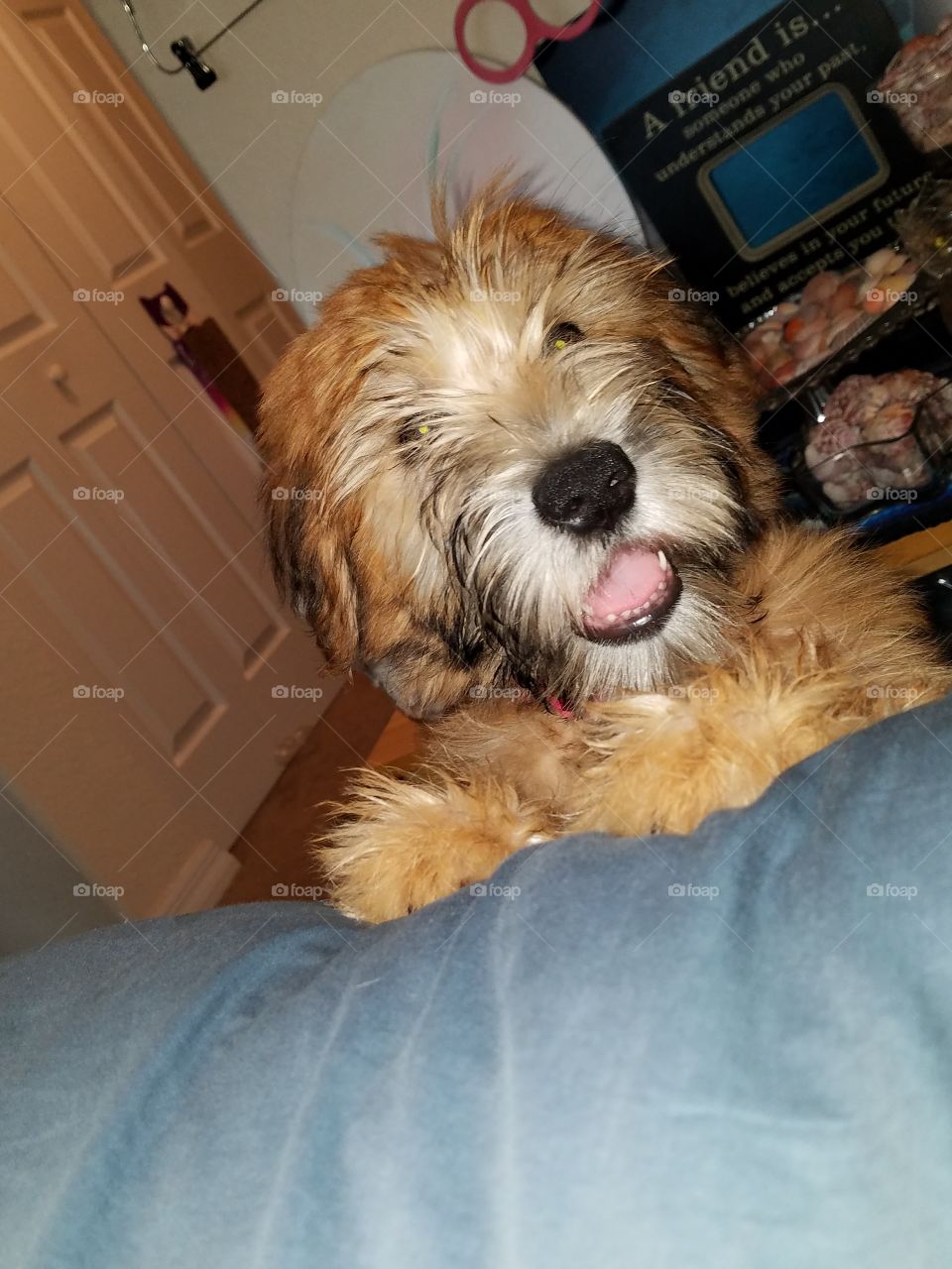 HEART OF GOLD, beautiful & bold, smiles for days! :)