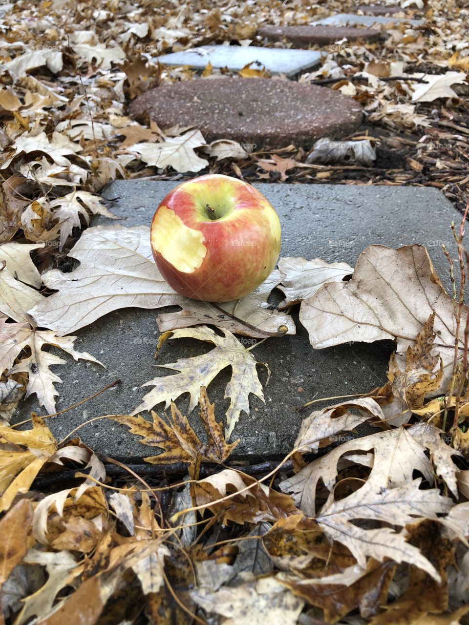 Apple on pathway stones