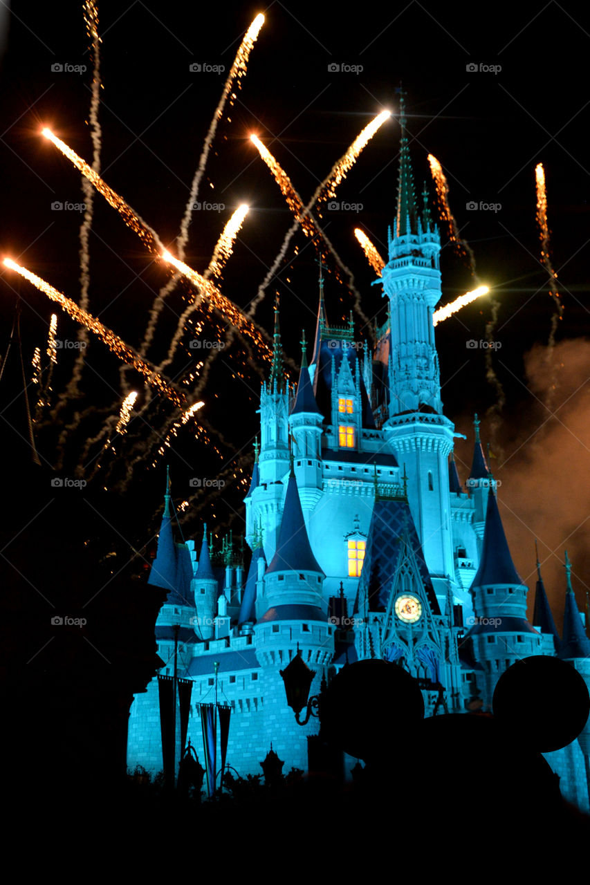Fireworks at the Magic Kingdom
