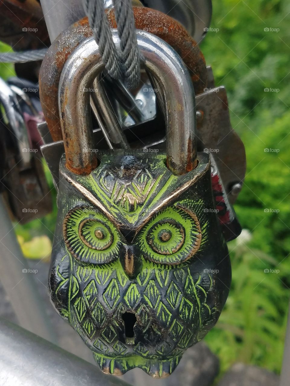 A neat owl love lock