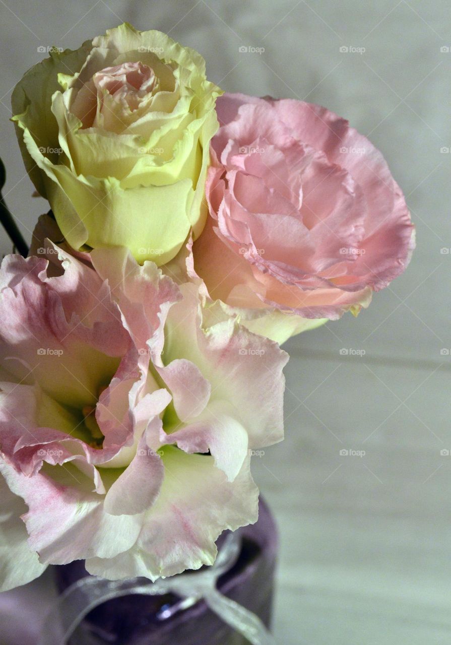 Beautiful flowers in a vase