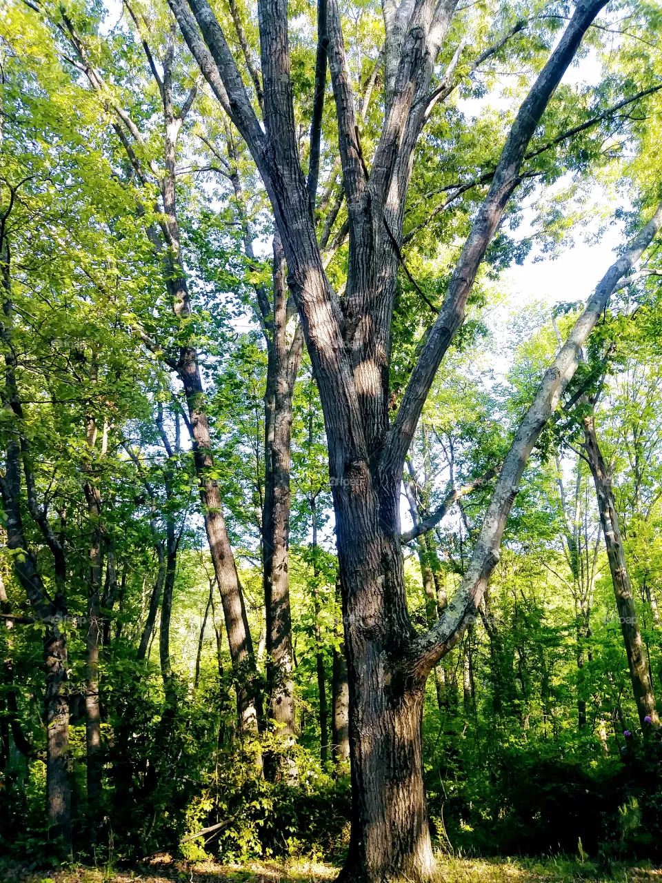outdoors