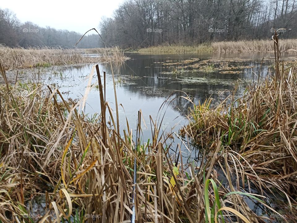 Lake in autumn