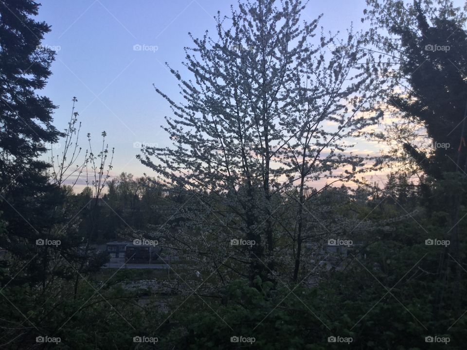 Sunset over the city 