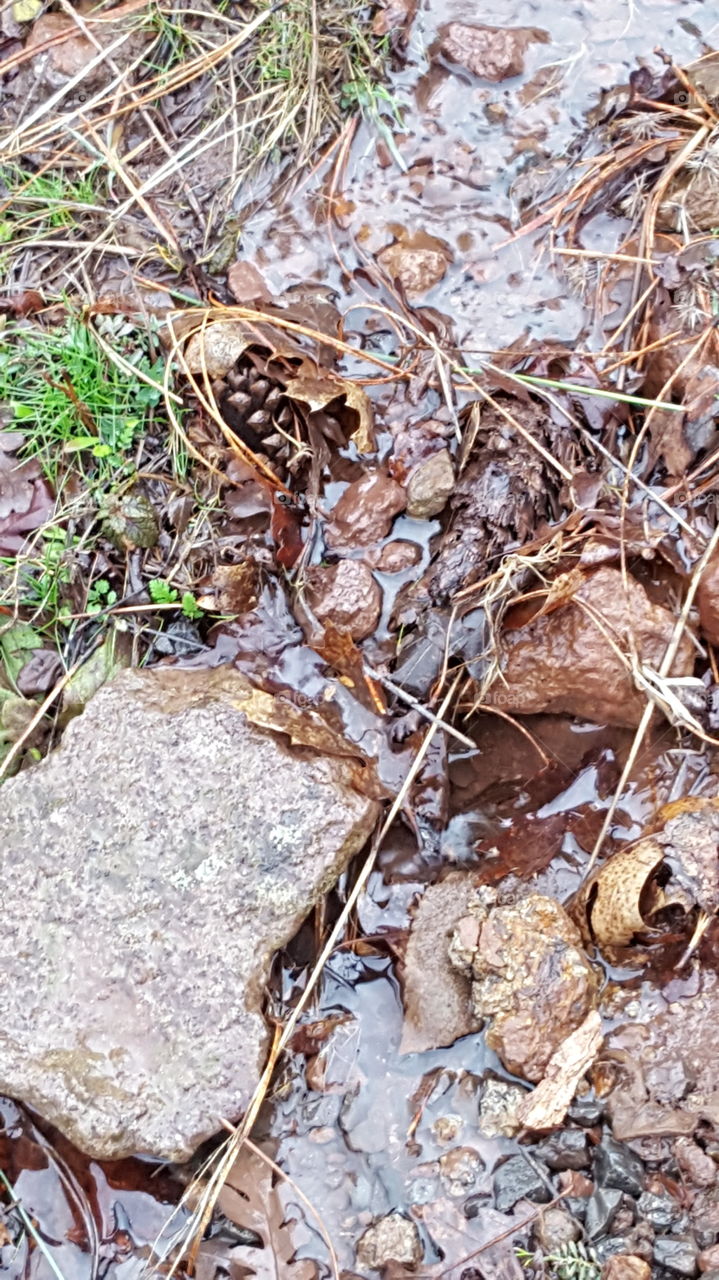 water running down the side of my driveway.