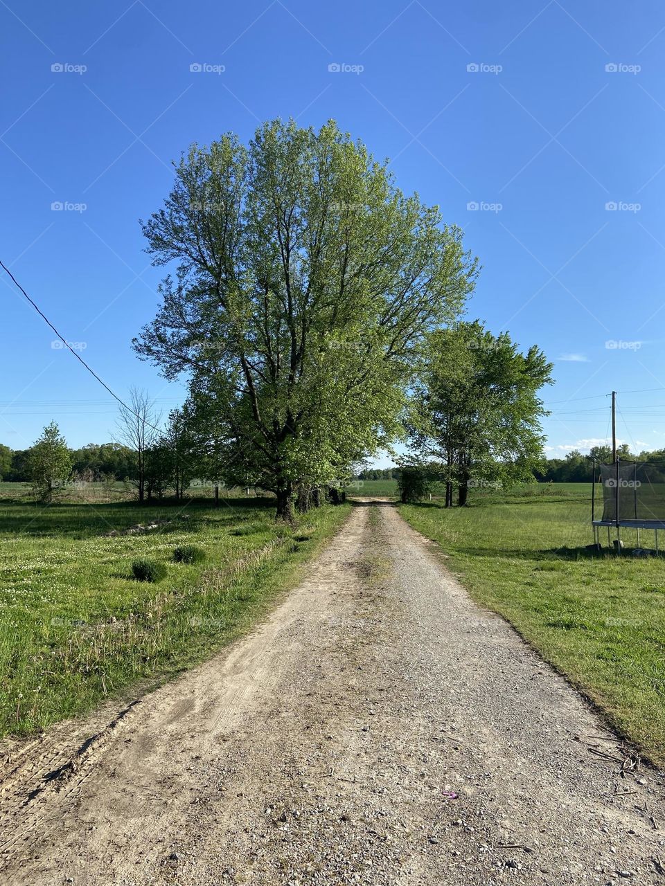 Long drive way in the country 