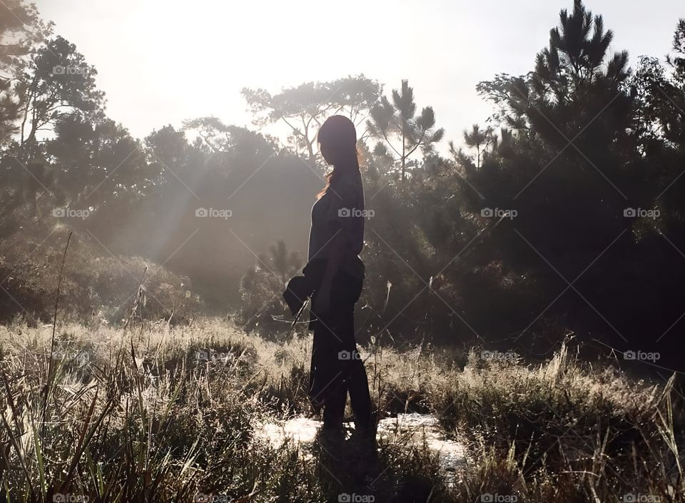 stand in black forest light and shadow