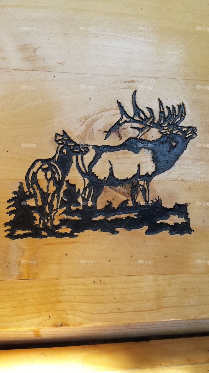 engraved elk