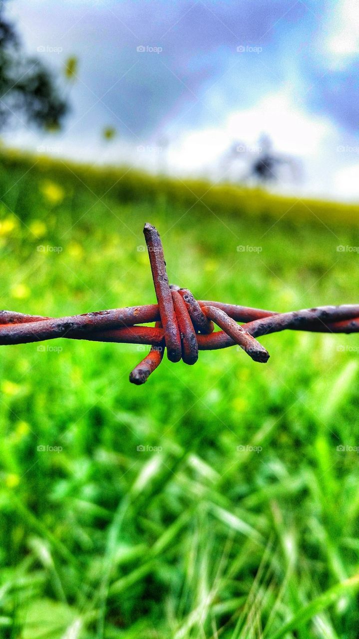 rusted wire