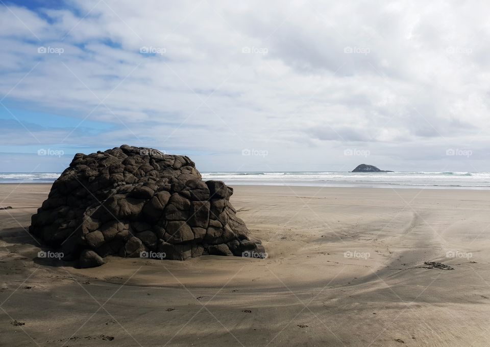 muriwai beach, auckland, new zealand