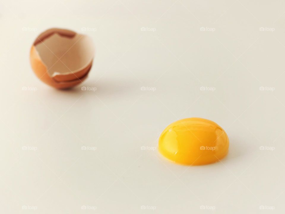 yolk egg