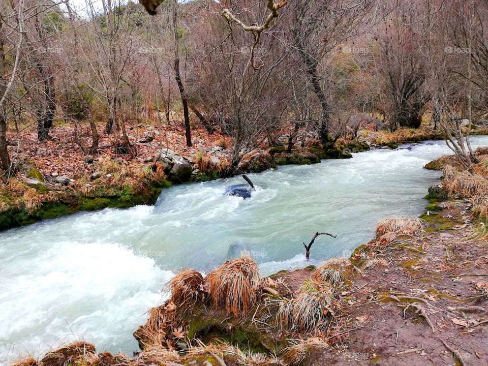 The remarkable Lousios river. The river where Zeus was the first to bathe in, a tributary of Alpheios, with a length of about 23 kilometers. Located near near the village of Kaloneri and further south in the area of ancient Theisoa in Dimitsana