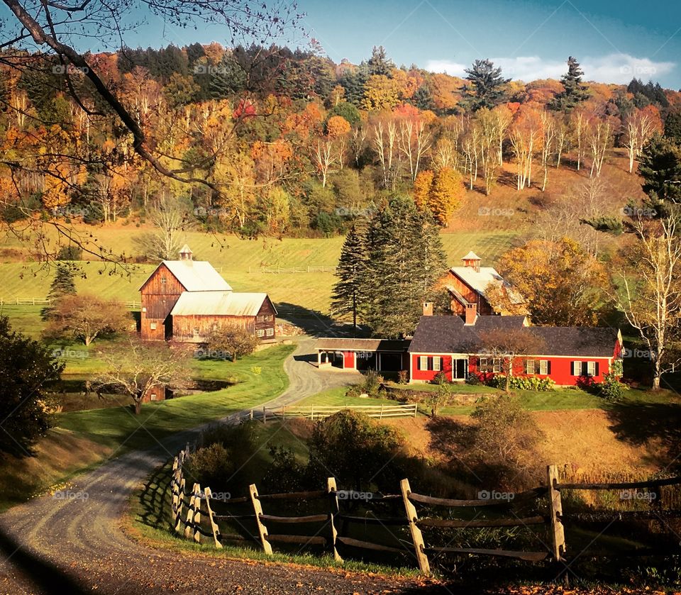 Countryside in fall