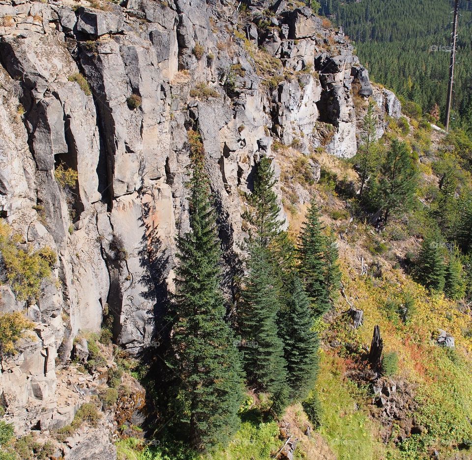 The beautiful shear rock cliffs on a tree covered hill on a sunny fall day in Central Oregon at Tumalo Falls. 