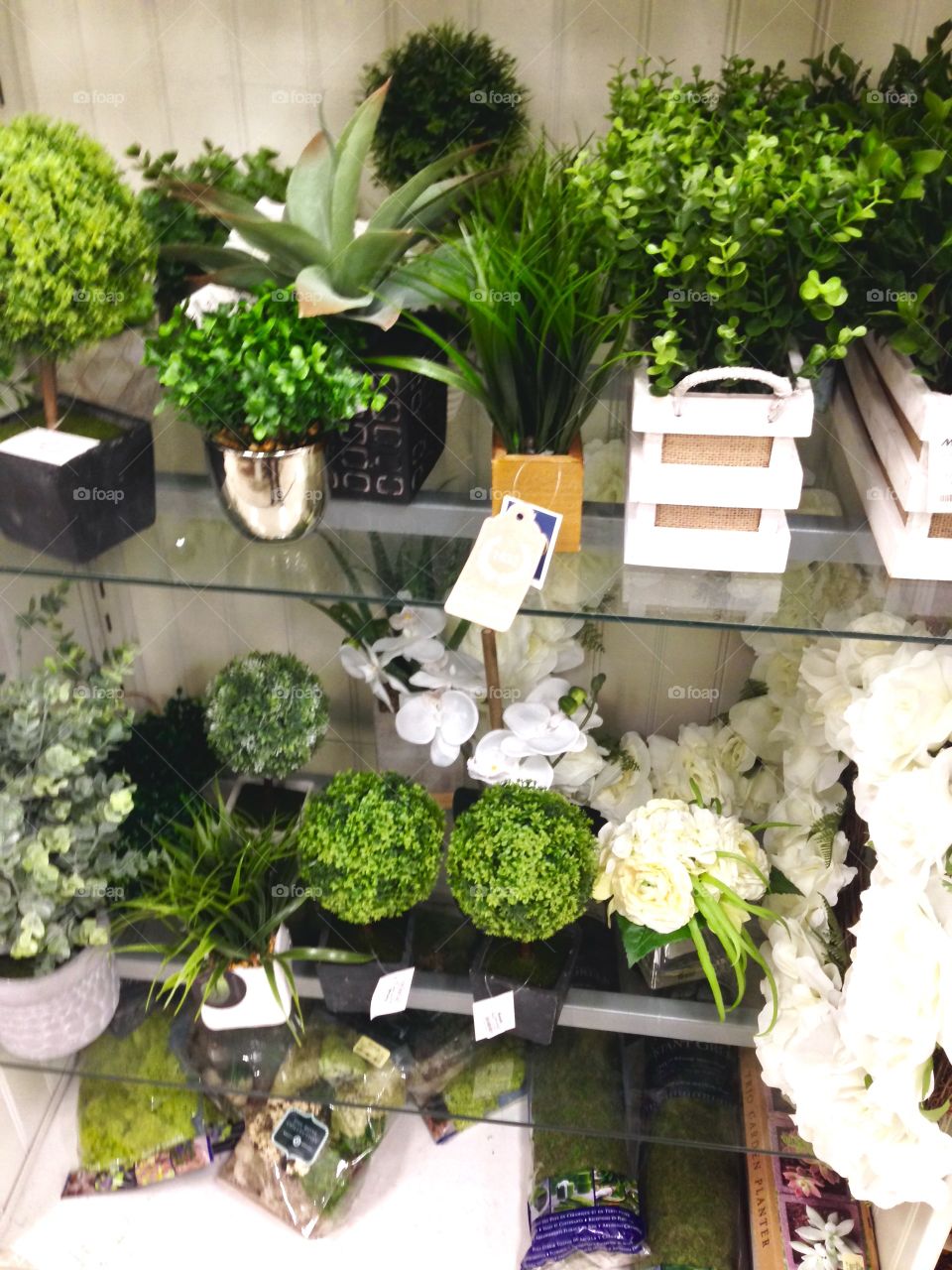 Indoor Plants

Published by:
HappyBrownMonkey 