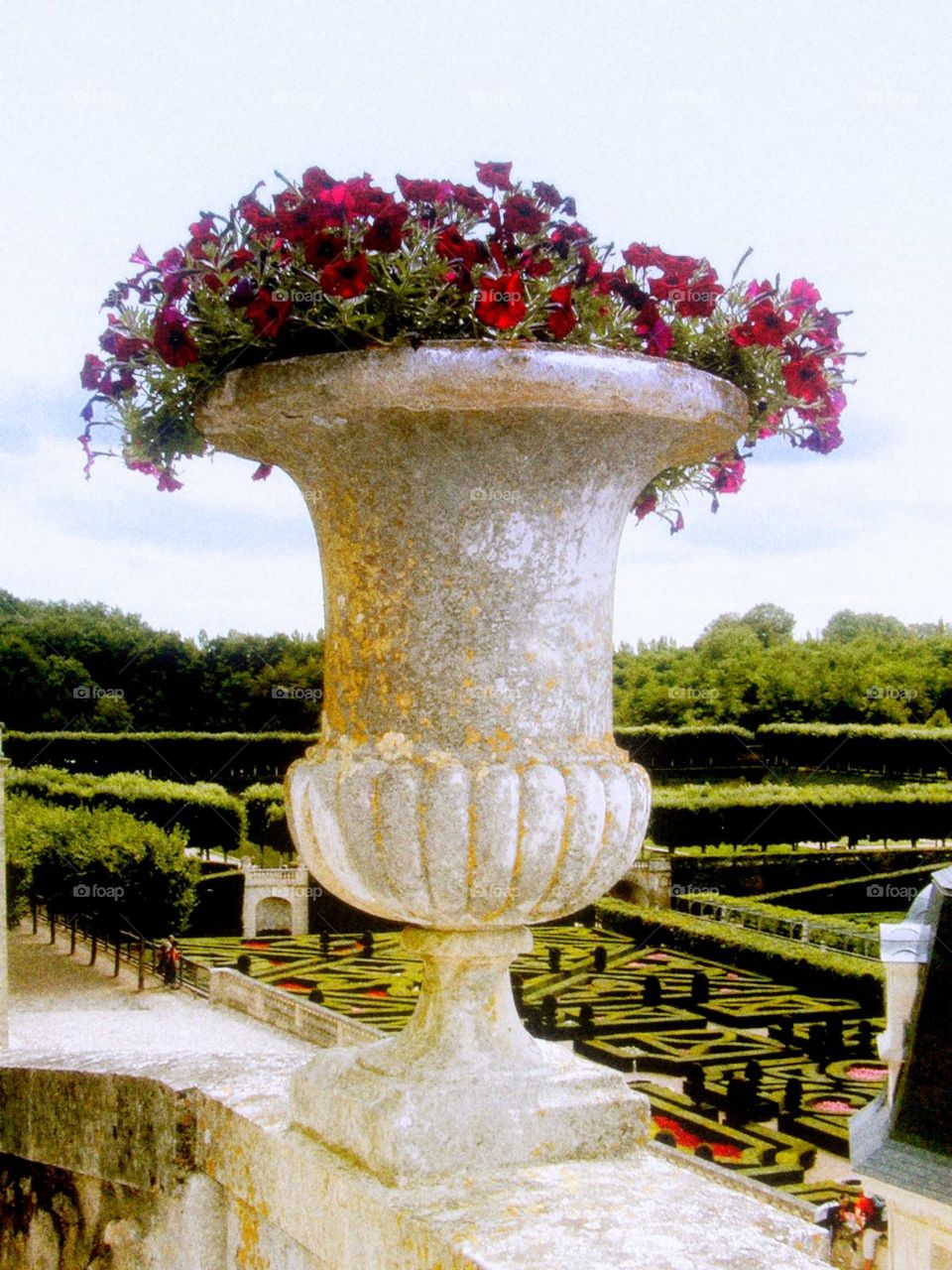  Cement earn with posies. Pink petunias in a cement Ernie overlooking a French garden villa