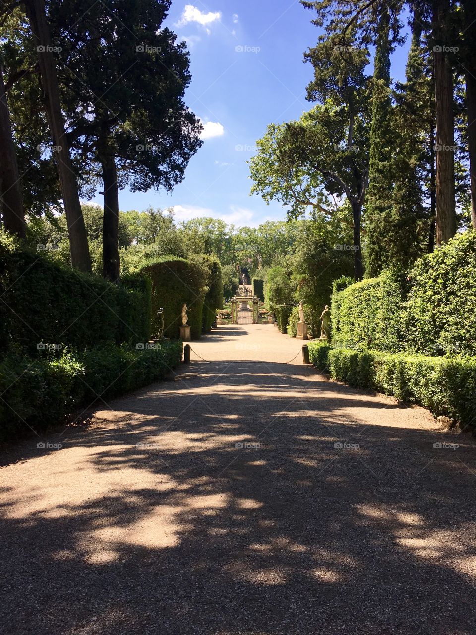 Beautiful view of garden