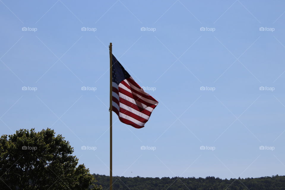 AMERICAN Flag 