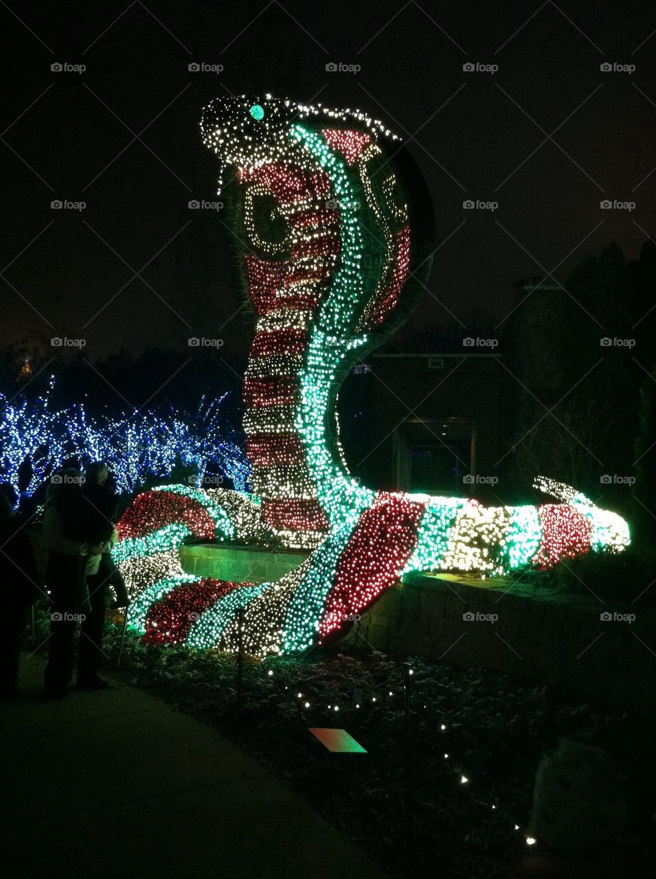 Lighted Snake