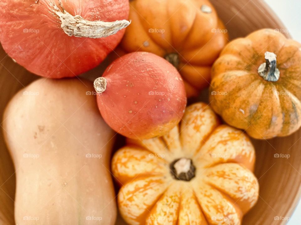 Assorted pumpkins from above 