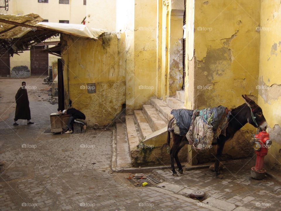 Slice of life in Fez
