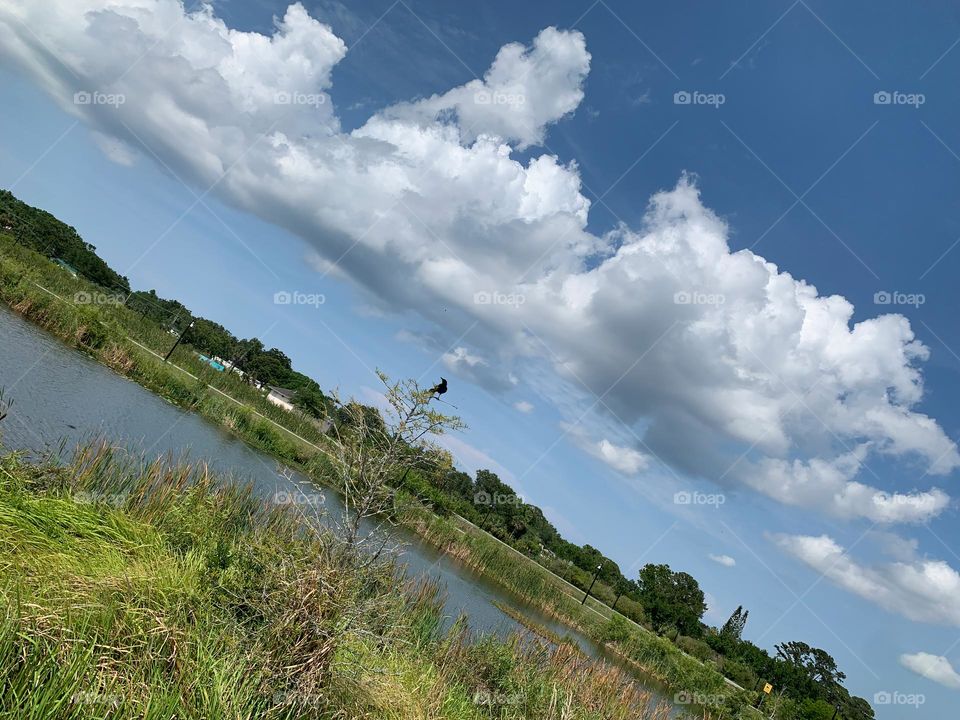 Urban Nature Water At The Draa Field Stormwater Park In The City For The Ecosystem To Provide A Water Quality Benefit To The Indian River Lagoon And To Reduce Flooding Within The Basin, In Florida.