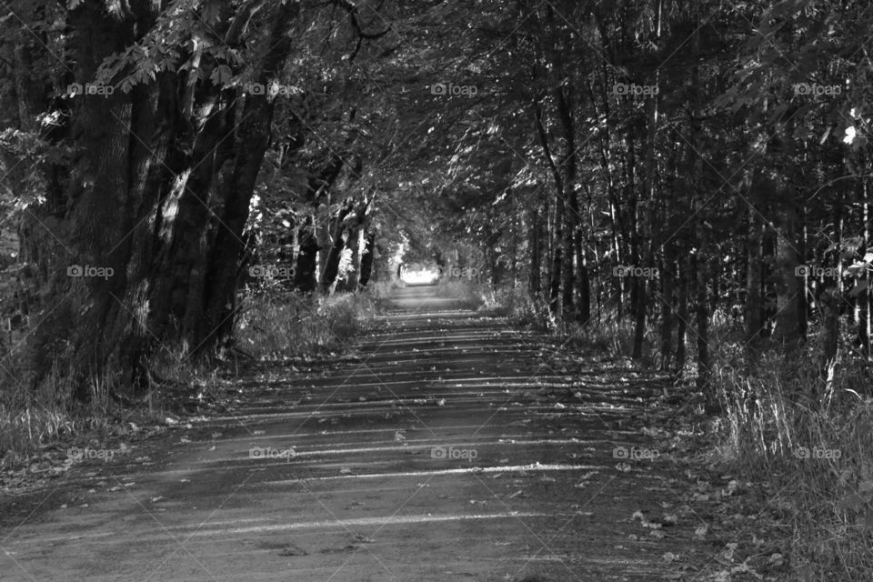 Long and narrow path road