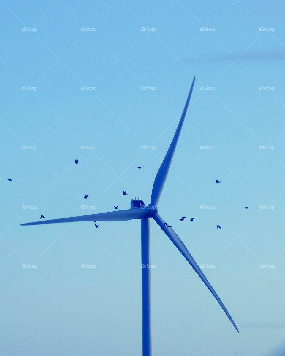 alternative energy, nature and technology