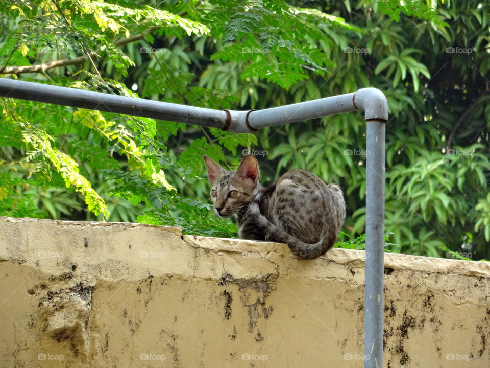 Enjoying the greenery