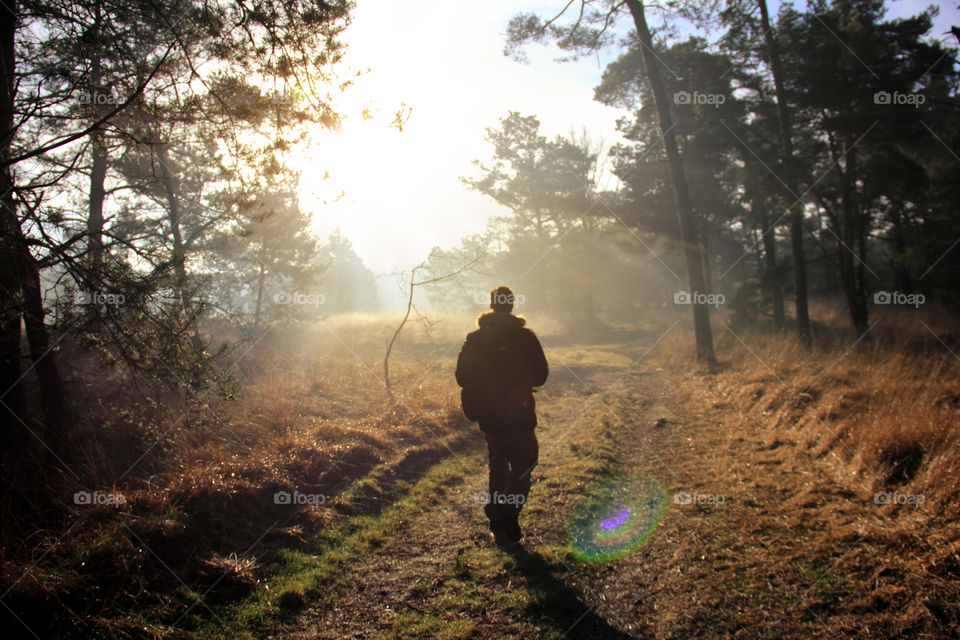 walking in golden hour. My friend walking on a path during golden hour in the kalmthoutse heide, Belgium.