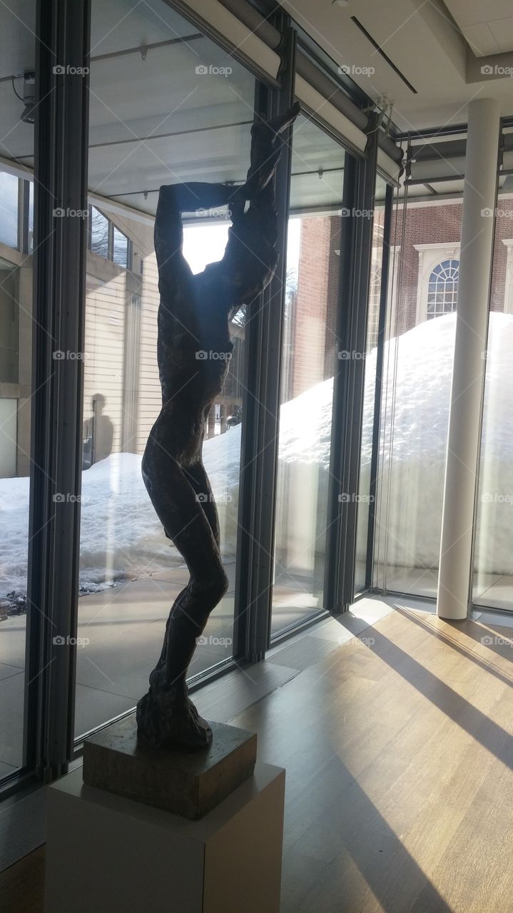 Dancer. Museum in Harvard