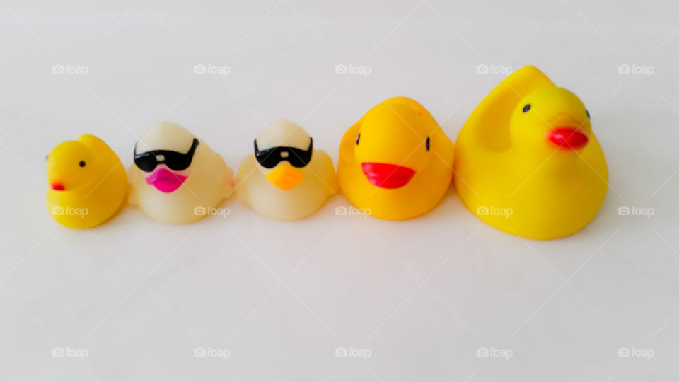 rubber ducks