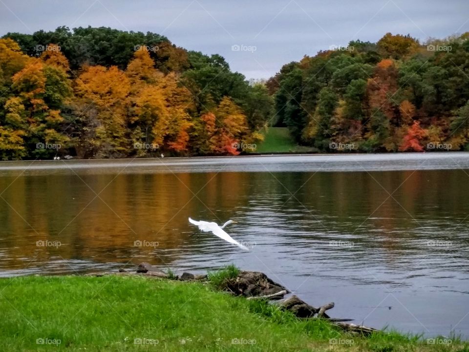 Autumn Day at Lake 2