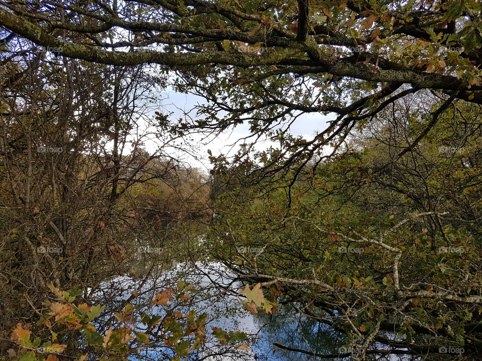 small loch outside mauchline in Scotland