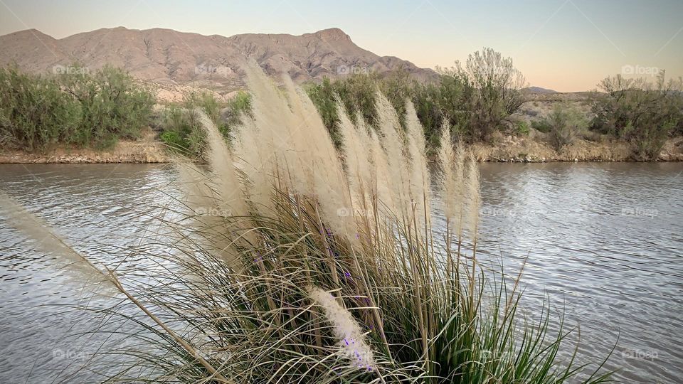 Natural Environment to Relax 