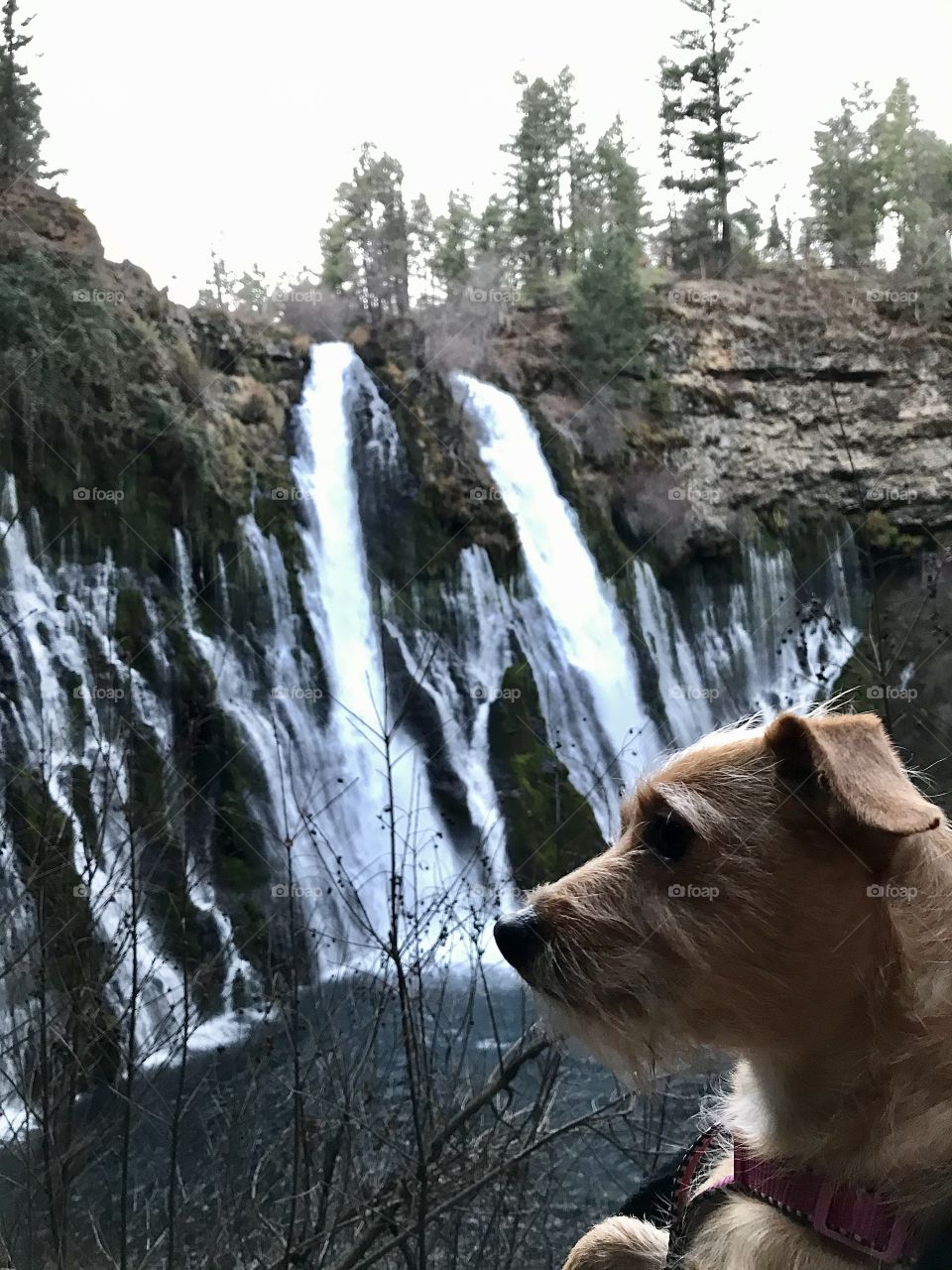 Burney Falls 