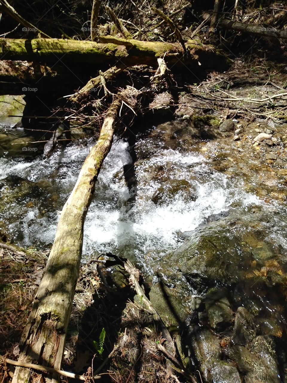 little creeks dot the landscape, water flows and life lives