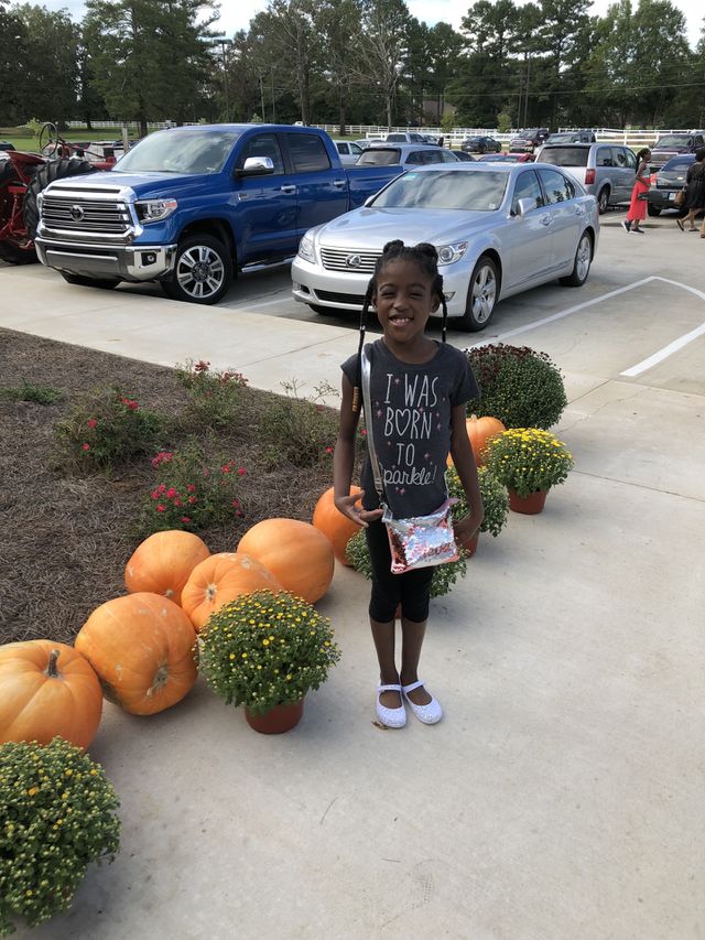 Pumpkin Patch