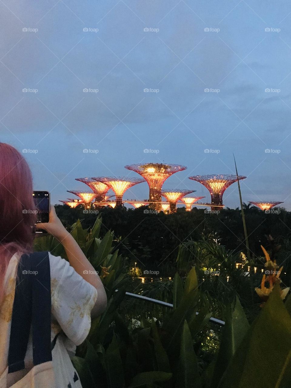 Person click picture of gardens by the bay at night 