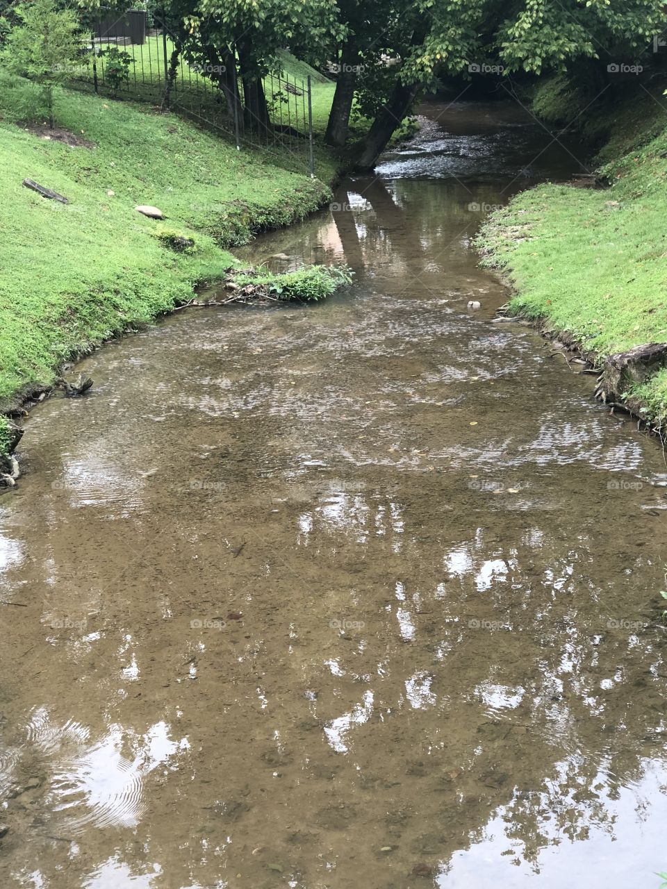 A peaceful stream, with the still green grass in early August. 