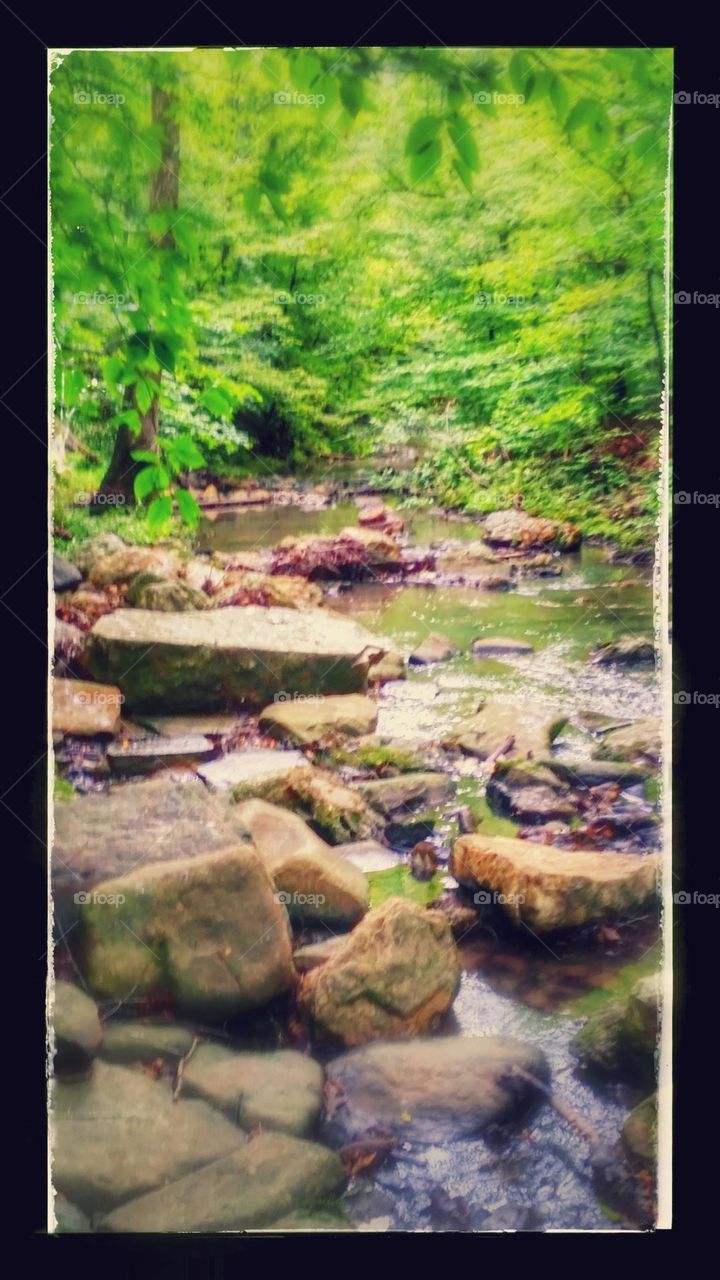 rocky creek