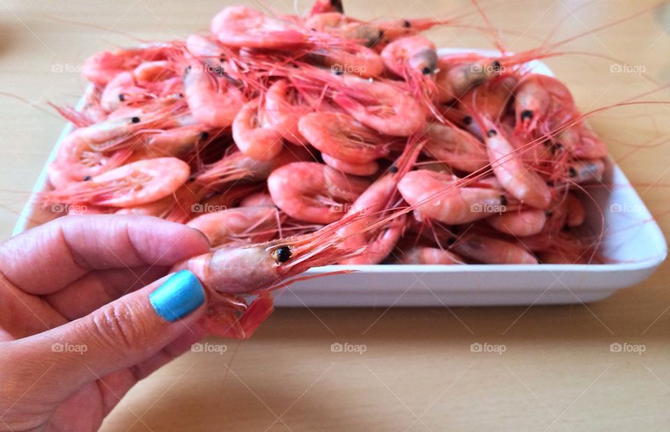 Shrimps