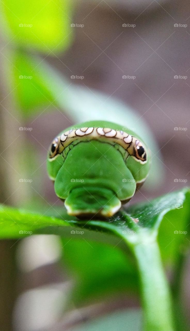 Battle: Black & White vs Color