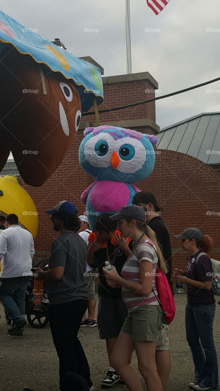 BIG owl