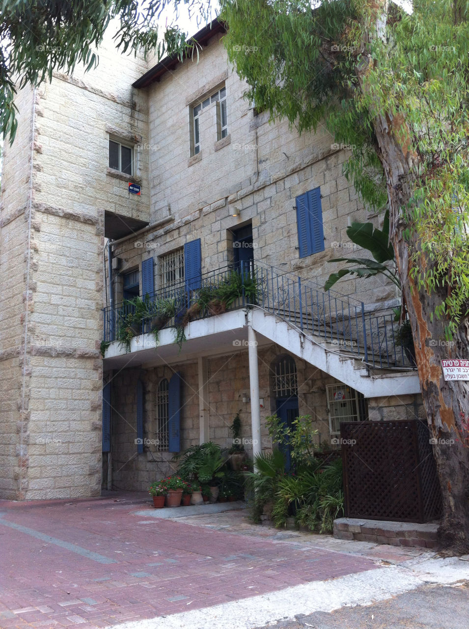 plants tree windows house by barkai