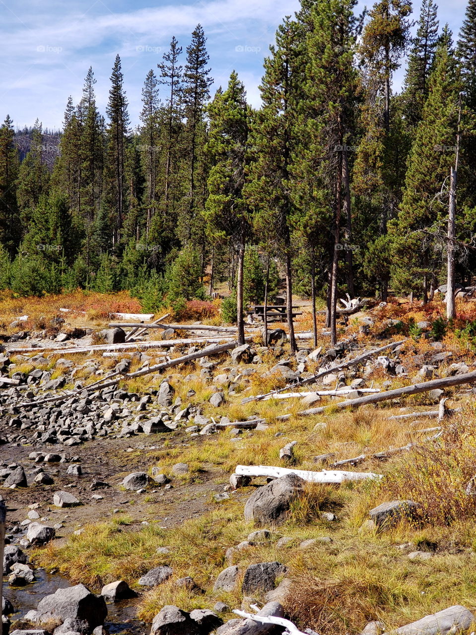 Brilliant fall colors of a landscape on the shores of Elk Lake in Oregon’s Cascade Mountains